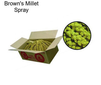 Brown\'s Millet Spray