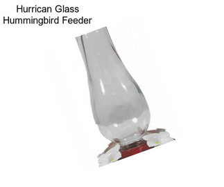 Hurrican Glass Hummingbird Feeder