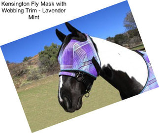 Kensington Fly Mask with Webbing Trim - Lavender Mint