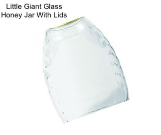 Little Giant Glass Honey Jar With Lids