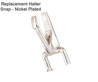 Replacement Halter Snap - Nickel Plated