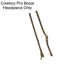 Cowboy Pro Bosal Headpiece Only