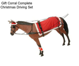 Gift Corral Complete Christmas Driving Set