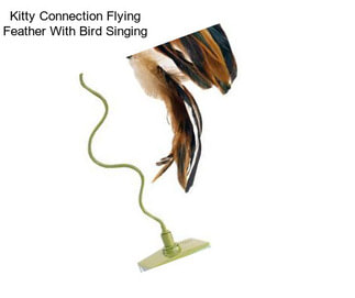Kitty Connection Flying Feather With Bird Singing