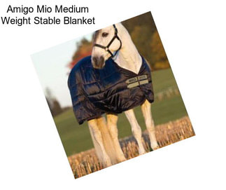 Amigo Mio Medium Weight Stable Blanket