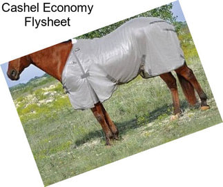 Cashel Economy Flysheet