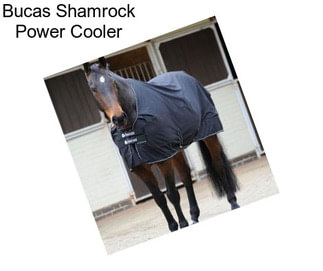 Bucas Shamrock Power Cooler