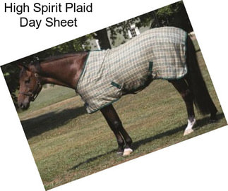 High Spirit Plaid Day Sheet