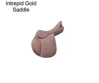 Intrepid Gold Saddle