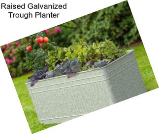 Raised Galvanized Trough Planter
