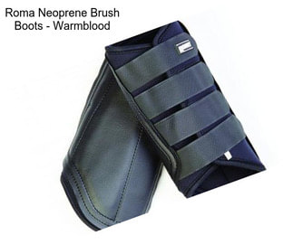 Roma Neoprene Brush Boots - Warmblood