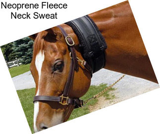 Neoprene Fleece Neck Sweat