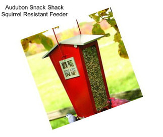 Audubon Snack Shack Squirrel Resistant Feeder