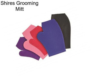 Shires Grooming Mitt