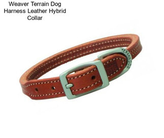 Weaver Terrain Dog Harness Leather Hybrid Collar