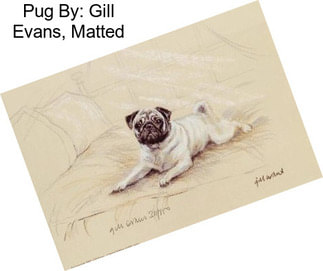 Pug By: Gill Evans, Matted