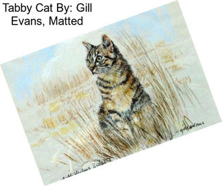 Tabby Cat By: Gill Evans, Matted