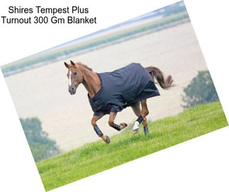Shires Tempest Plus Turnout 300 Gm Blanket