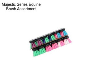 Majestic Series Equine Brush Assortment