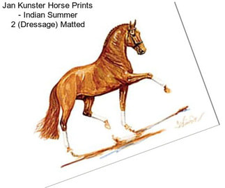 Jan Kunster Horse Prints - Indian Summer 2 (Dressage) Matted