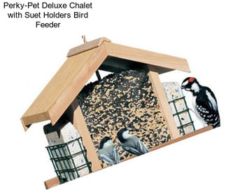 Perky-Pet Deluxe Chalet with Suet Holders Bird Feeder