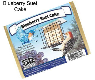 Blueberry Suet Cake