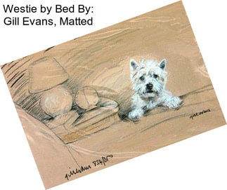 Westie by Bed By: Gill Evans, Matted