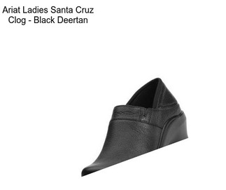 Ariat Ladies Santa Cruz Clog - Black Deertan