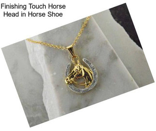 Finishing Touch Horse Head in Horse Shoe