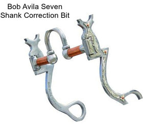 Bob Avila Seven Shank Correction Bit