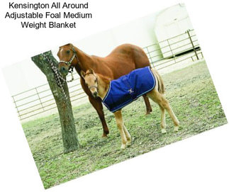 Kensington All Around Adjustable Foal Medium Weight Blanket