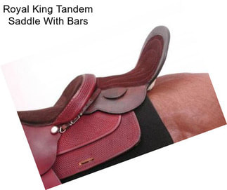 Royal King Tandem Saddle With Bars