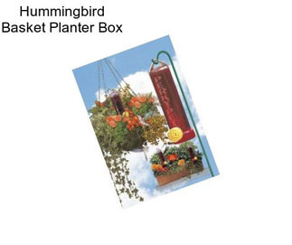 Hummingbird Basket Planter Box