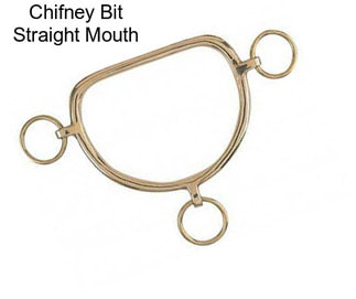 Chifney Bit Straight Mouth