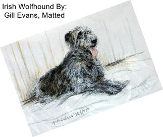 Irish Wolfhound By: Gill Evans, Matted