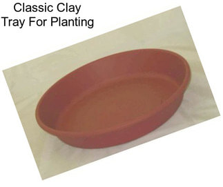 Classic Clay Tray For Planting