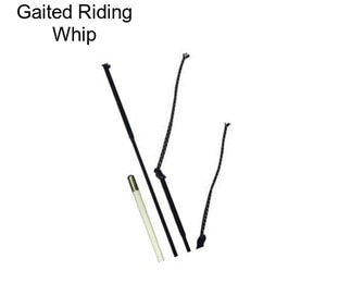 Gaited Riding Whip