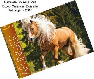 Gabriele Boiselle Mid Sized Calendar Boiselle Halflinger - 2018