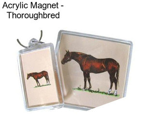 Acrylic Magnet - Thoroughbred