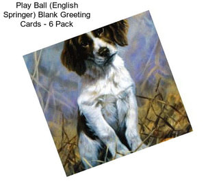 Play Ball (English Springer) Blank Greeting Cards - 6 Pack