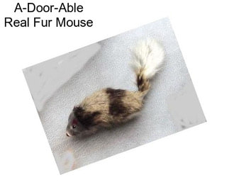 A-Door-Able Real Fur Mouse