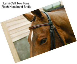 Lami-Cell Two Tone Flash Noseband Bridle