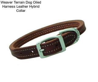 Weaver Terrain Dog Oiled Harness Leather Hybrid Collar