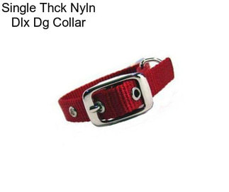 Single Thck Nyln Dlx Dg Collar