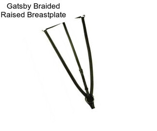 Gatsby Braided Raised Breastplate