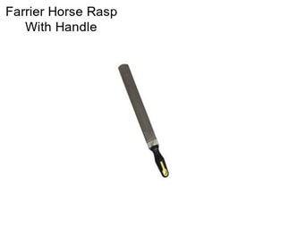 Farrier Horse Rasp With Handle