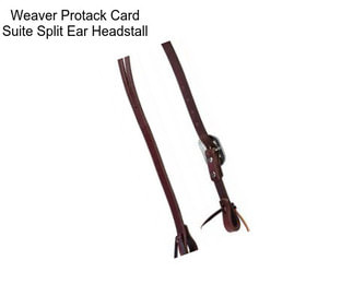 Weaver Protack Card Suite Split Ear Headstall