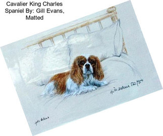 Cavalier King Charles Spaniel By: Gill Evans, Matted