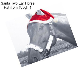 Santa Two Ear Horse Hat from Tough-1