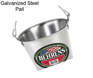 Galvanized Steel Pail